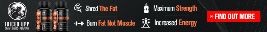 Buy Shredder Online in Singapore